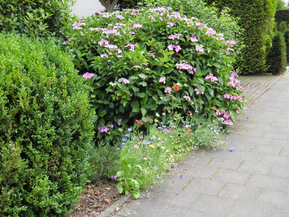 Blumen